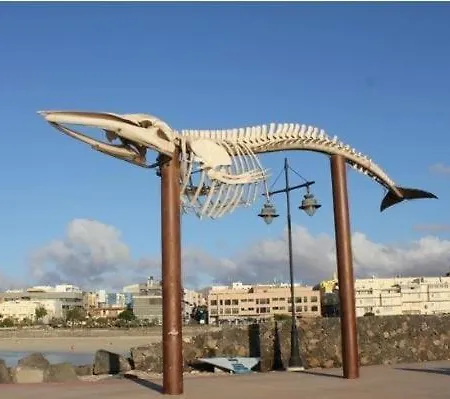 Apartamento Sunflower, El Con Piscina En Complejo Residencial Puerto del Rosario (Fuerteventura)